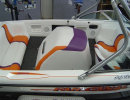 skibird_web_2014006031.jpg